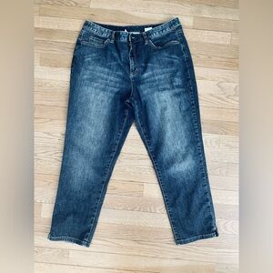 Talbots Classic Stretch Blue Denim Ankle Jeans Size 16